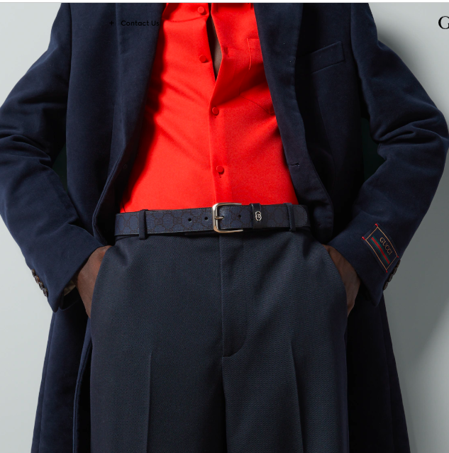 Belt with Interlocking G detail